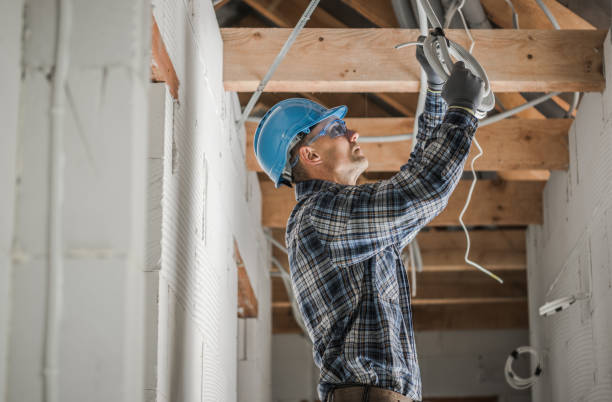 Best Local Electrician Companies  in Leisure City, FL