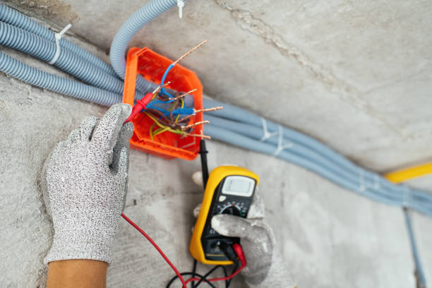 Best Electrical Troubleshooting Services  in Leisure City, FL